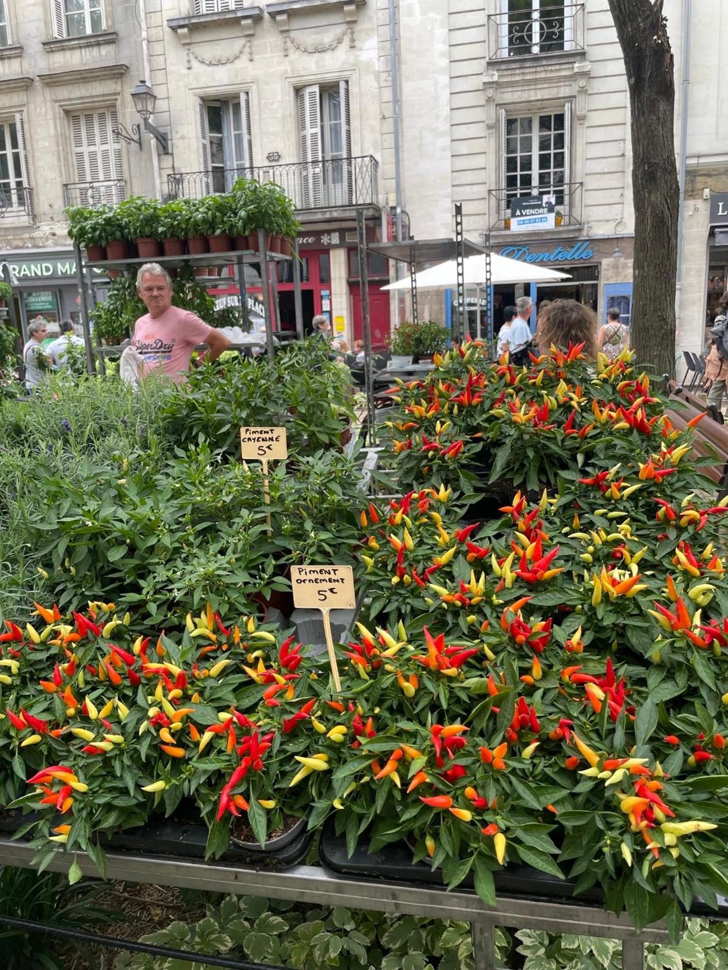 Champoiseau Tours